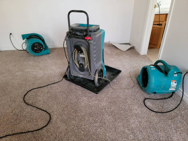 Best 24-hour water damage restoration  in Renova, MS