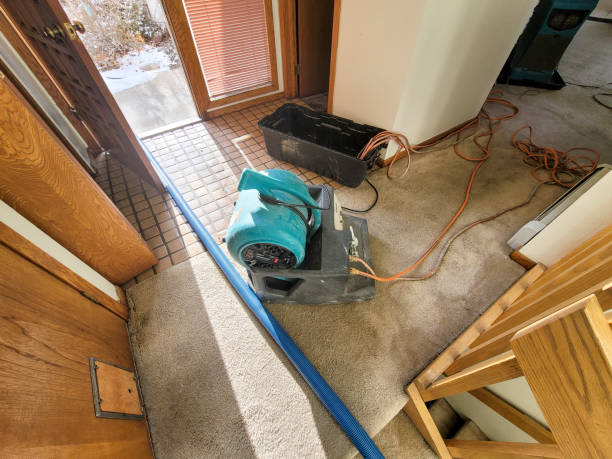Best Water damage cleanup near me  in Renova, MS