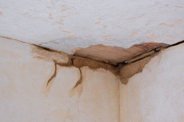 Best Water damage restoration near me  in Renova, MS