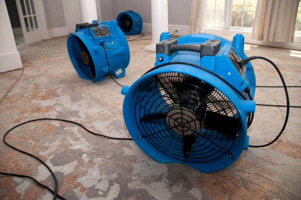 Sewage cleanup and water damage restoration in MS