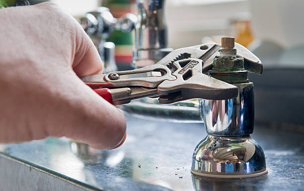Best Water damage cleanup near me  in Renova, MS
