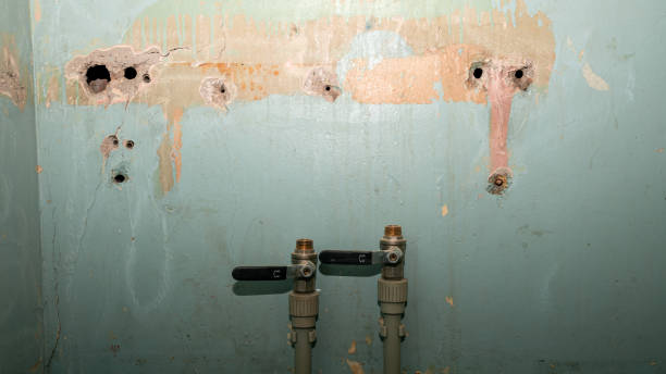 Best Flood restoration services  in Renova, MS