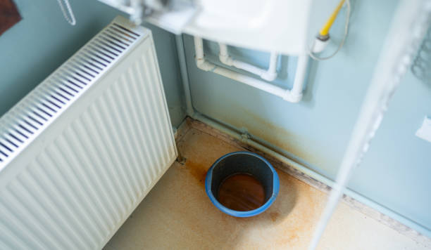 Best Water damage repair service  in Renova, MS