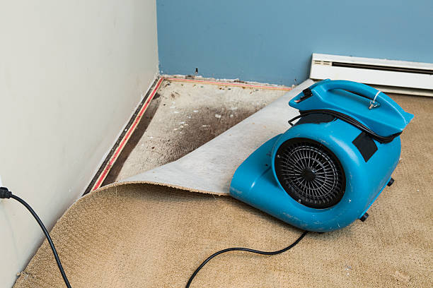 Best Water damage restoration insurance claims  in Renova, MS